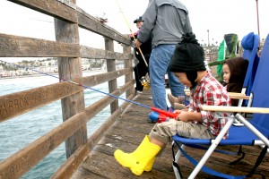 IMG_2176 IMG_2176