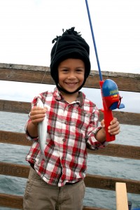 IMG_2186 IMG_2186