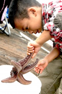 IMG_2222 IMG_2222