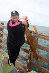 IMG_2225 IMG_2225