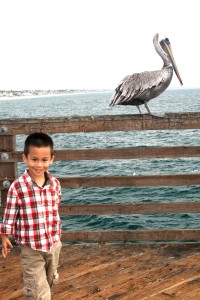 IMG_2243 IMG_2243