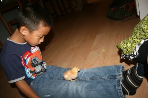 IMG_8737