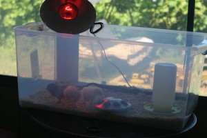 IMG_8802